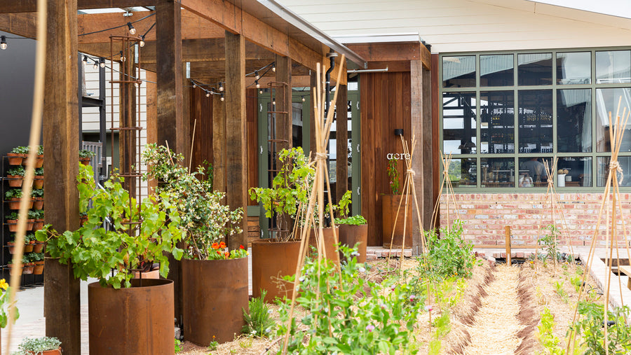 Koa By Kaitlin & Acre Ceramic Plant Pot Australia
